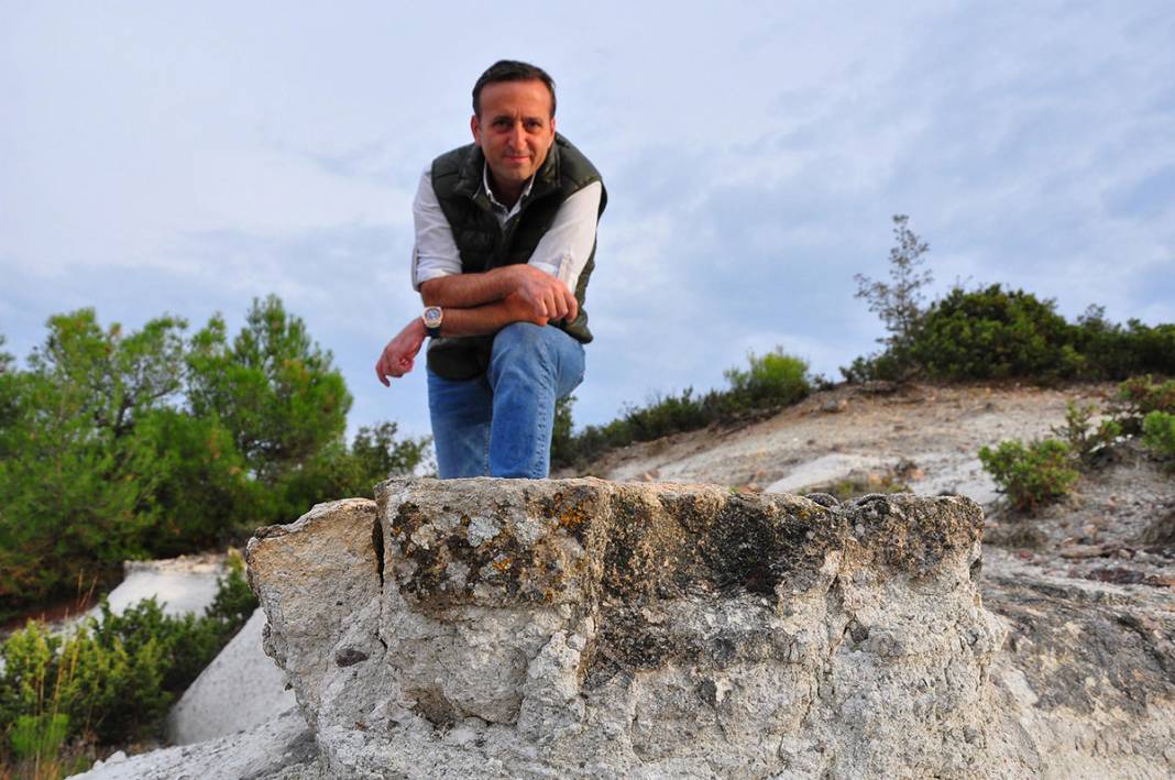 21 milyon yıllık 'fosil orman' yok olma tehlikesiyle karşı karşıya 11