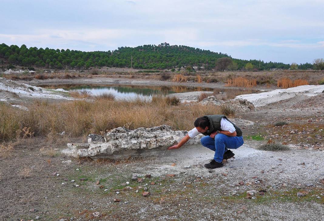 21 milyon yıllık 'fosil orman' yok olma tehlikesiyle karşı karşıya 12