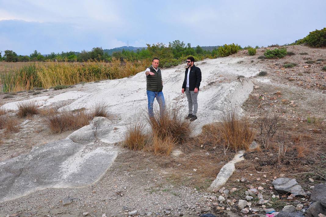 21 milyon yıllık 'fosil orman' yok olma tehlikesiyle karşı karşıya 14