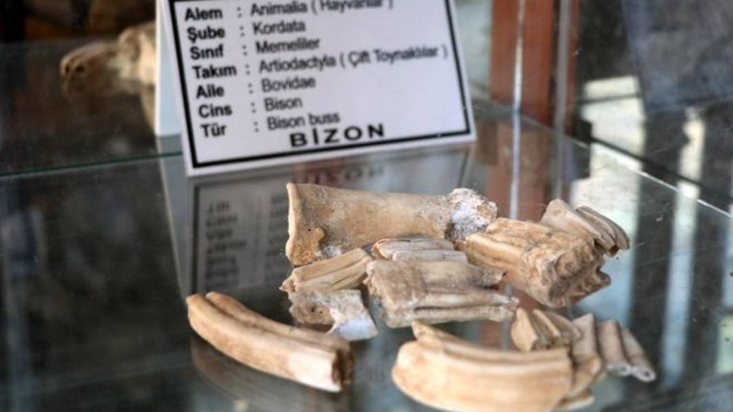 Bu mağaraya gelenlerin tek bir ortak özelliği var! İşte karşınızda 'Keloğlan Mağarası' 3