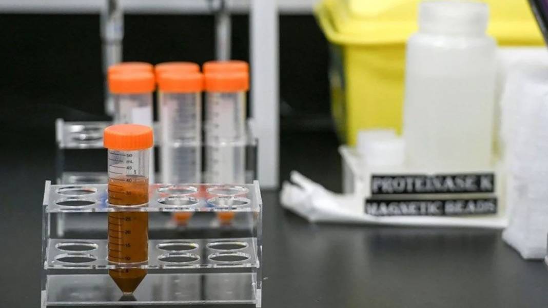 Koronavirüse yakalanmak için gönüllü oldular! 38 bin kişi başvurdu 9