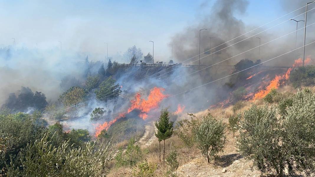 Son dakika! Hatay'da orman yangını! Alevler kente sıçradı 27