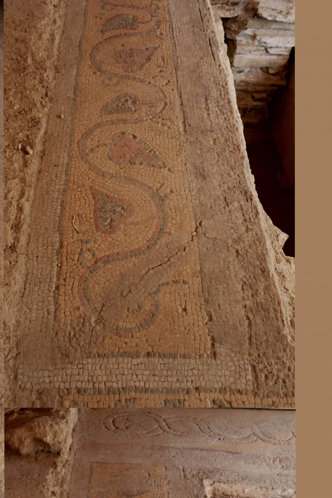 Sadece Zeugma'da olduğu biliniyordu! Karadeniz'de bulunan mozaikler şaşırttı 14