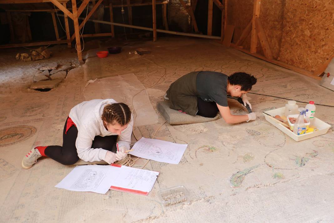 Sadece Zeugma'da olduğu biliniyordu! Karadeniz'de bulunan mozaikler şaşırttı 15