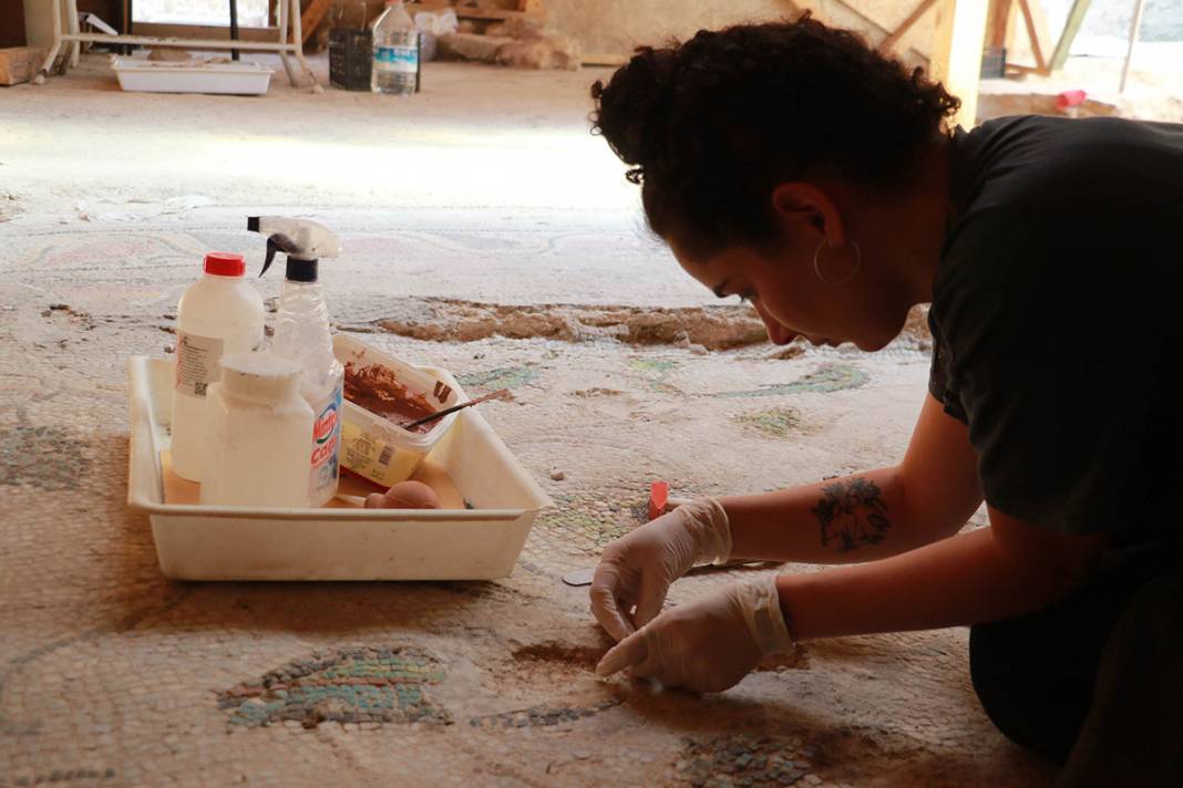 Sadece Zeugma'da olduğu biliniyordu! Karadeniz'de bulunan mozaikler şaşırttı 17