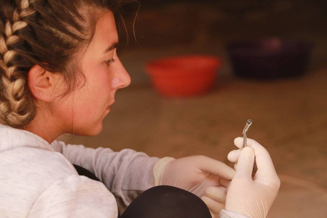 Sadece Zeugma'da olduğu biliniyordu! Karadeniz'de bulunan mozaikler şaşırttı 4