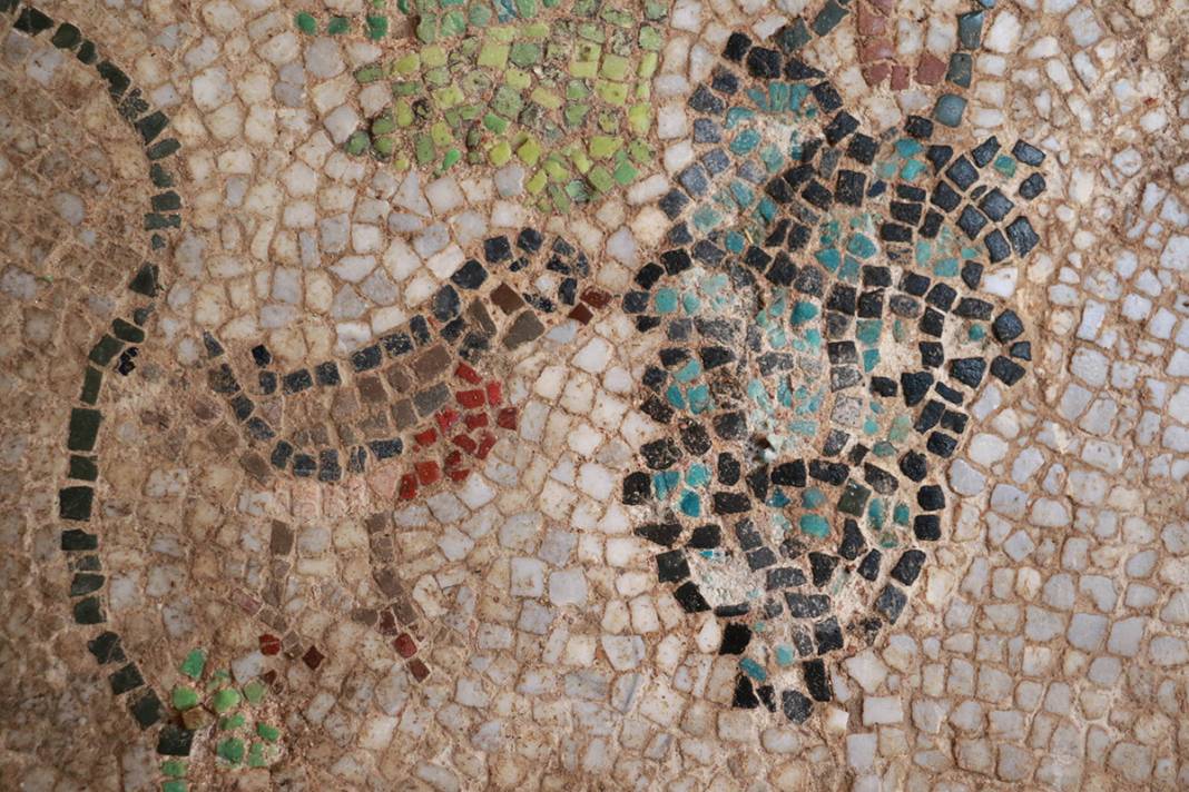 Sadece Zeugma'da olduğu biliniyordu! Karadeniz'de bulunan mozaikler şaşırttı 7