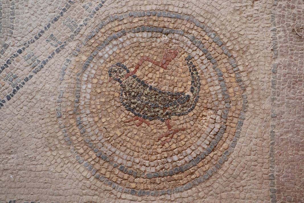 Sadece Zeugma'da olduğu biliniyordu! Karadeniz'de bulunan mozaikler şaşırttı 8