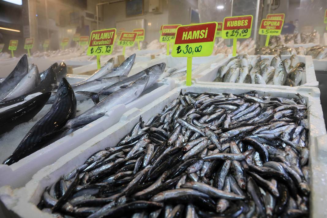 Seyyar tezgahta 'zehirli' oyun! Balon balığını mezgit diye satıyorlar 2