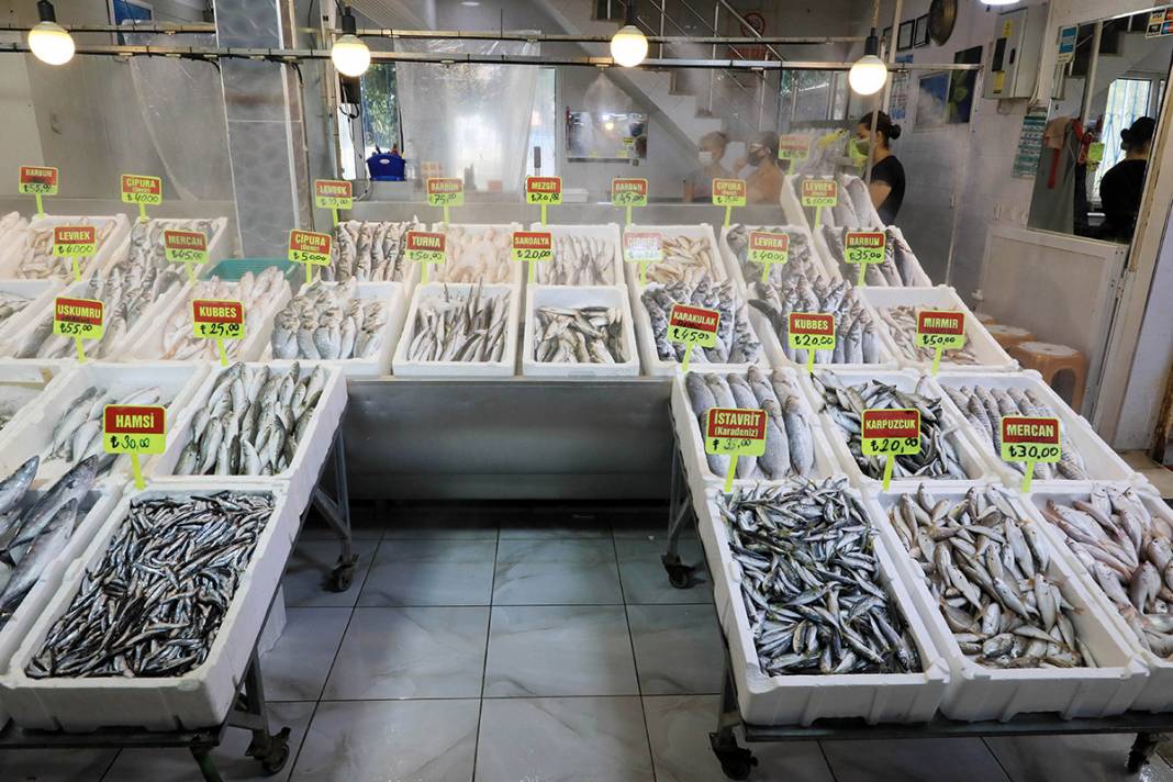 Seyyar tezgahta 'zehirli' oyun! Balon balığını mezgit diye satıyorlar 4