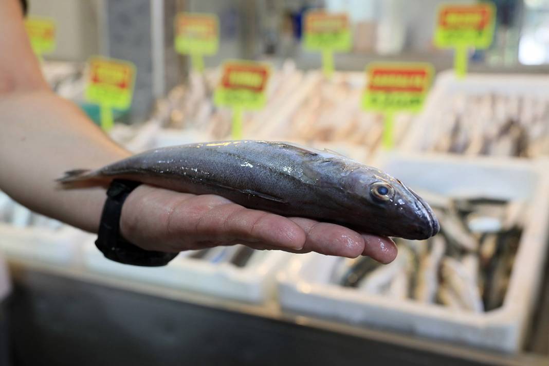 Seyyar tezgahta 'zehirli' oyun! Balon balığını mezgit diye satıyorlar 7