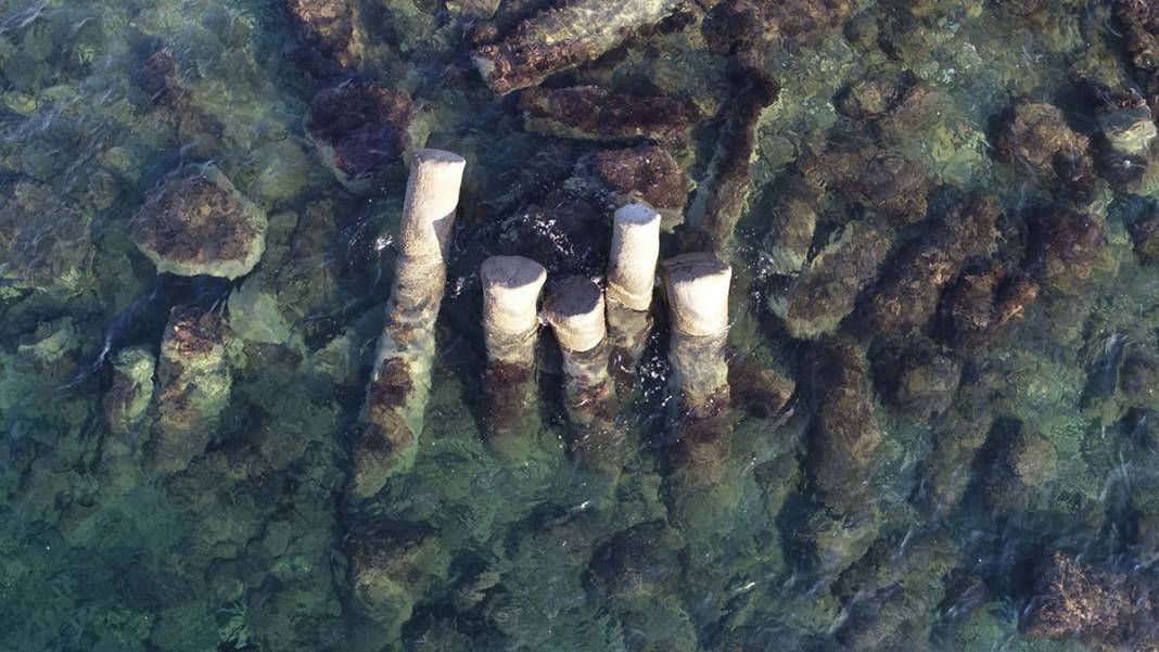 2 bin yıldır denizdeler! Görenleri büyülüyor 1