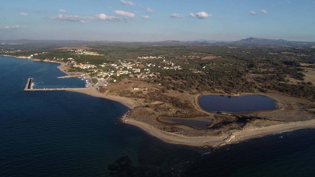 2 bin yıldır denizdeler! Görenleri büyülüyor 11