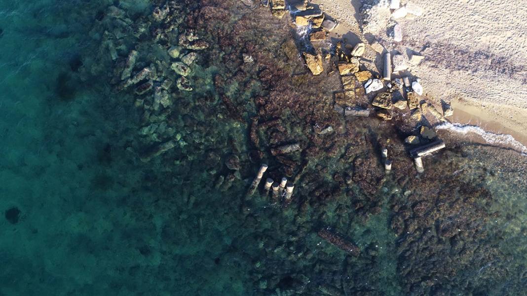 2 bin yıldır denizdeler! Görenleri büyülüyor 12