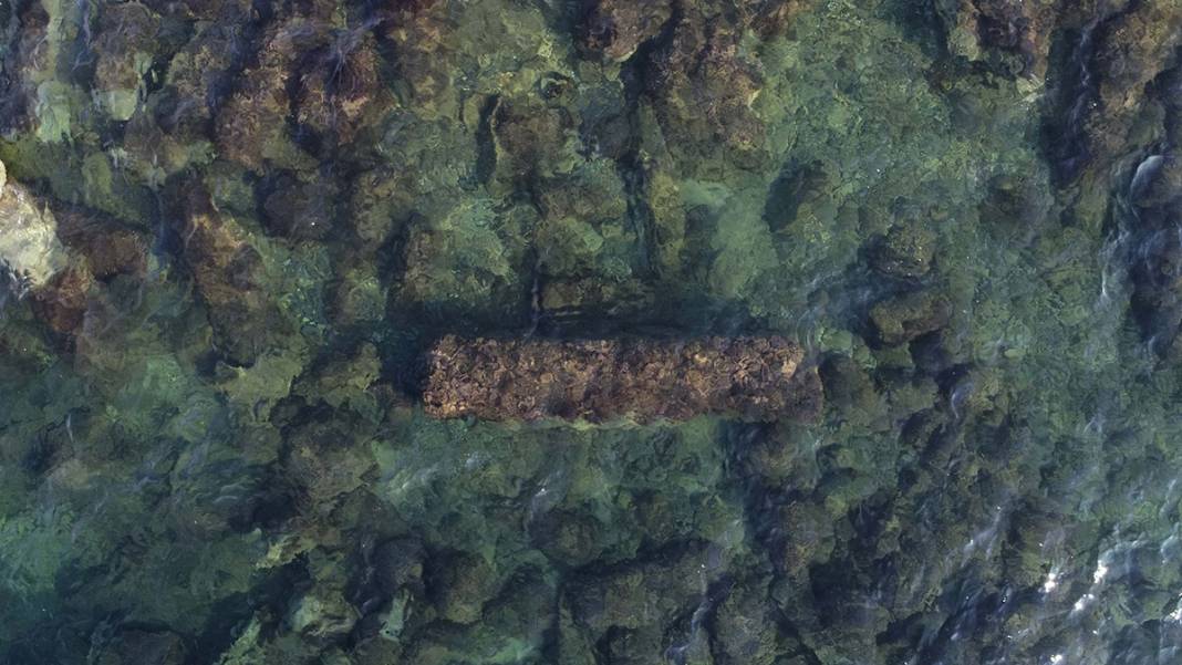 2 bin yıldır denizdeler! Görenleri büyülüyor 13