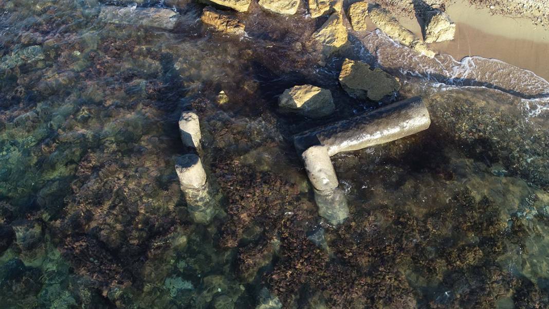 2 bin yıldır denizdeler! Görenleri büyülüyor 14