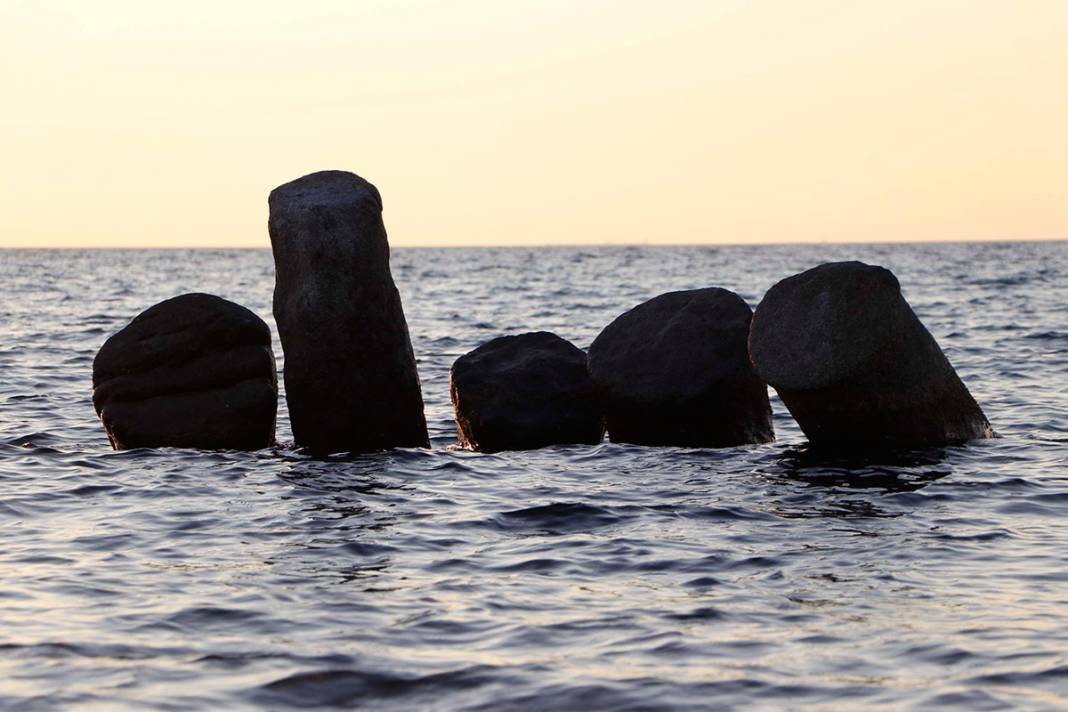 2 bin yıldır denizdeler! Görenleri büyülüyor 16