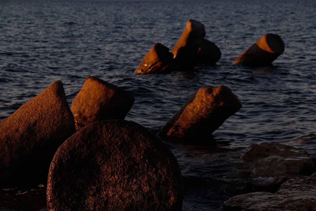 2 bin yıldır denizdeler! Görenleri büyülüyor 17