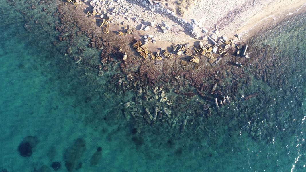 2 bin yıldır denizdeler! Görenleri büyülüyor 2