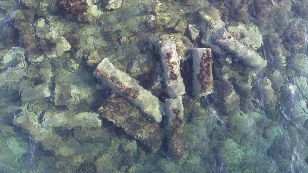 2 bin yıldır denizdeler! Görenleri büyülüyor 3