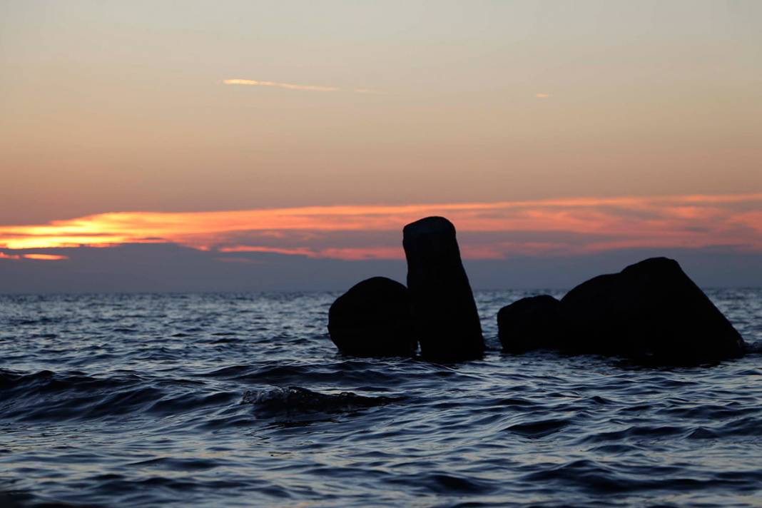 2 bin yıldır denizdeler! Görenleri büyülüyor 6