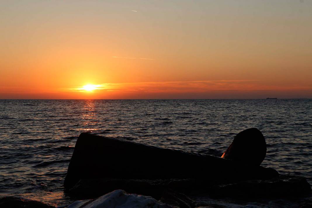 2 bin yıldır denizdeler! Görenleri büyülüyor 7
