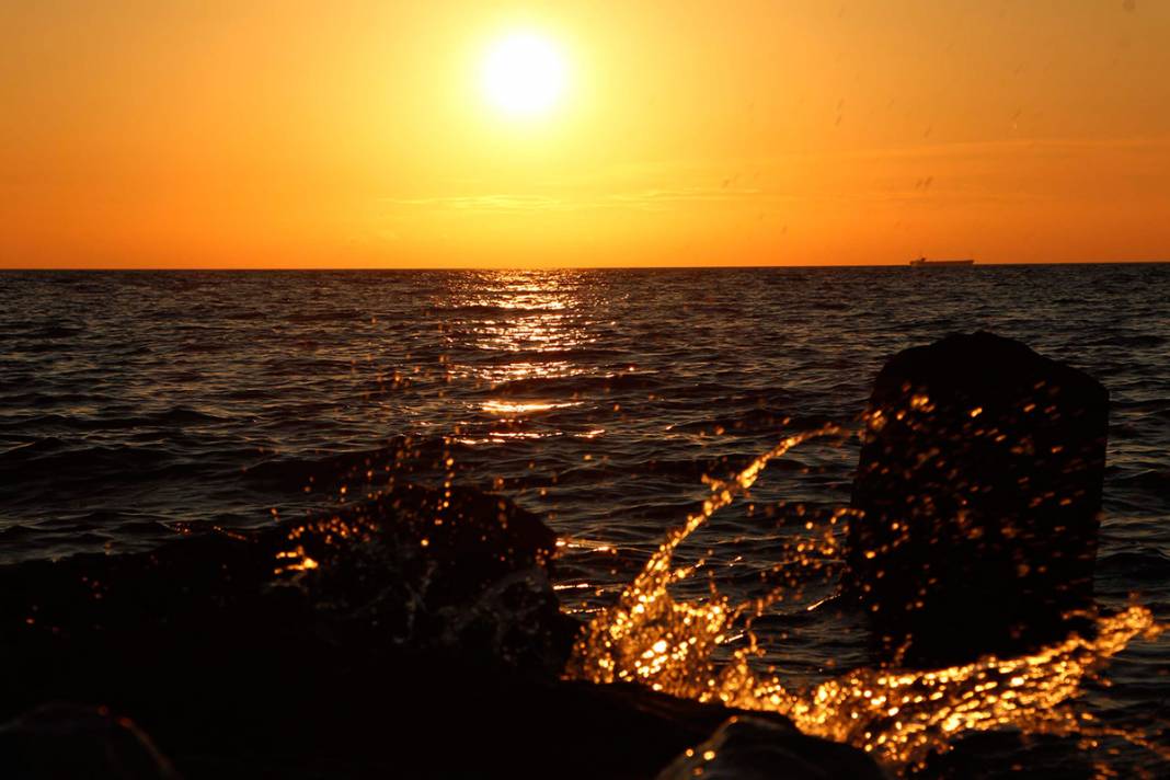 2 bin yıldır denizdeler! Görenleri büyülüyor 8