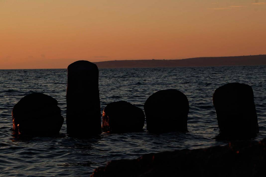 2 bin yıldır denizdeler! Görenleri büyülüyor 9