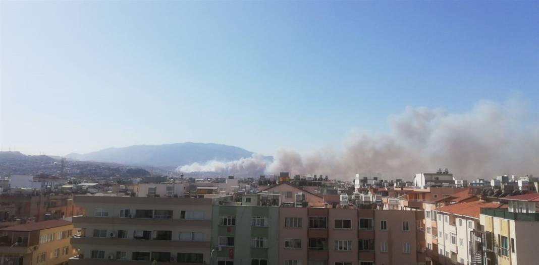 Son dakika! Hatay'da orman yangını! Alevler kente sıçradı 19