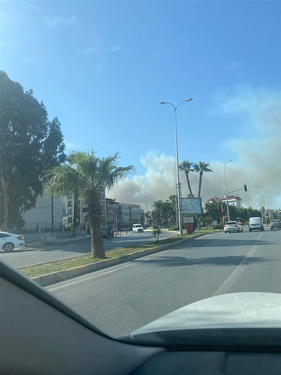 Son dakika! Hatay'da orman yangını! Alevler kente sıçradı 14