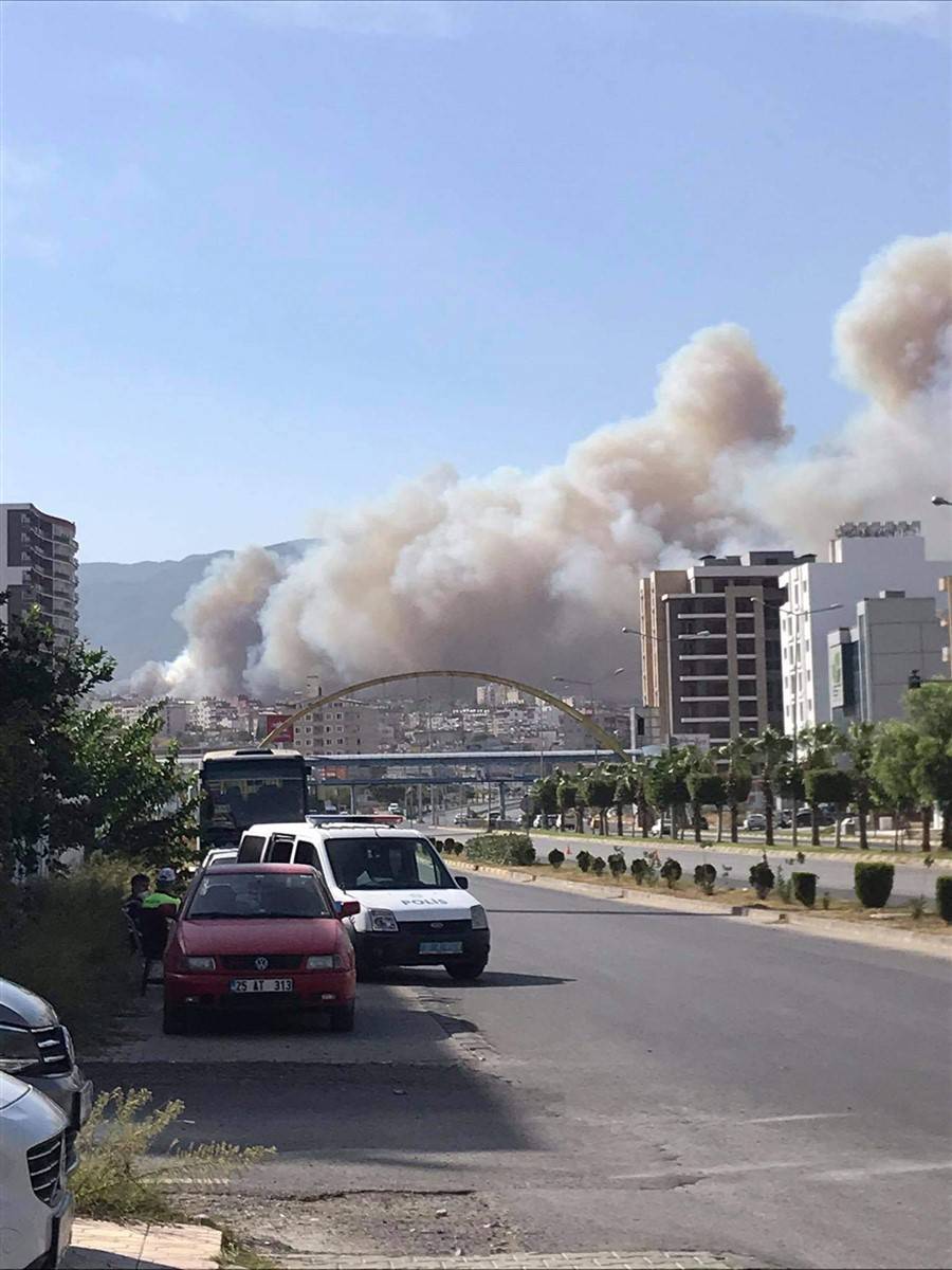 Son dakika! Hatay'da orman yangını! Alevler kente sıçradı 15