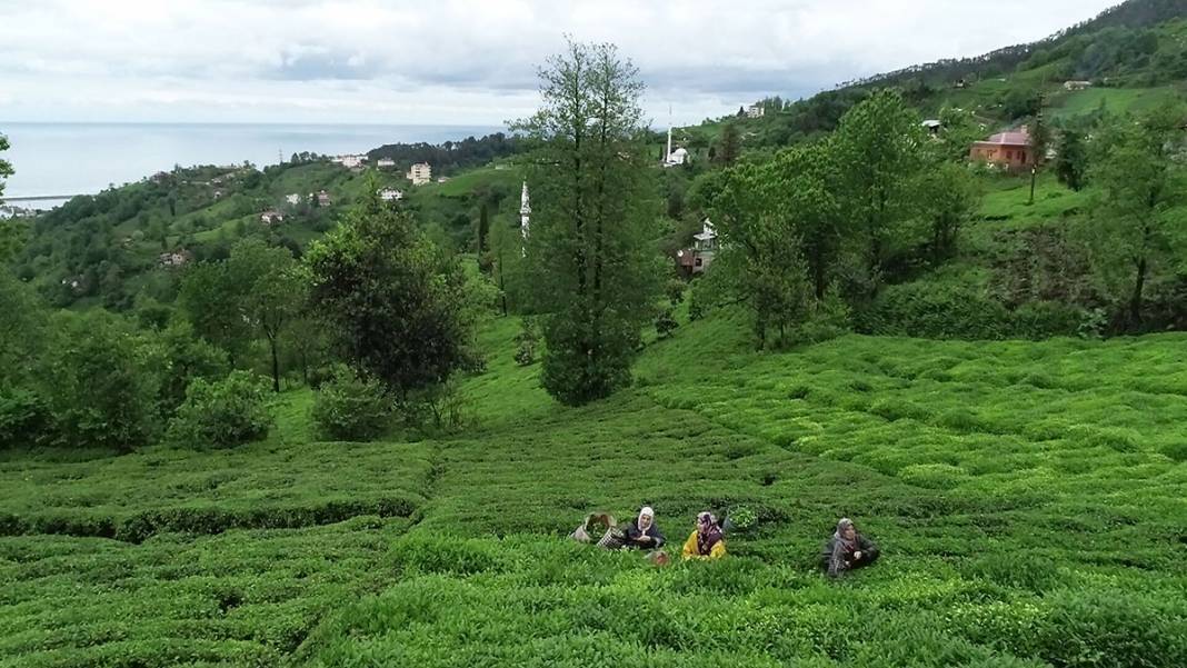 Karadeniz'de tehlike çanları çalıyor! Sel ve heyelanlar artacak 5
