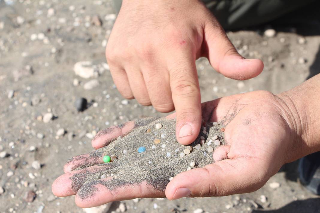 Adeta zehirli bomba! Bir avuç kumda 200 tane var 1