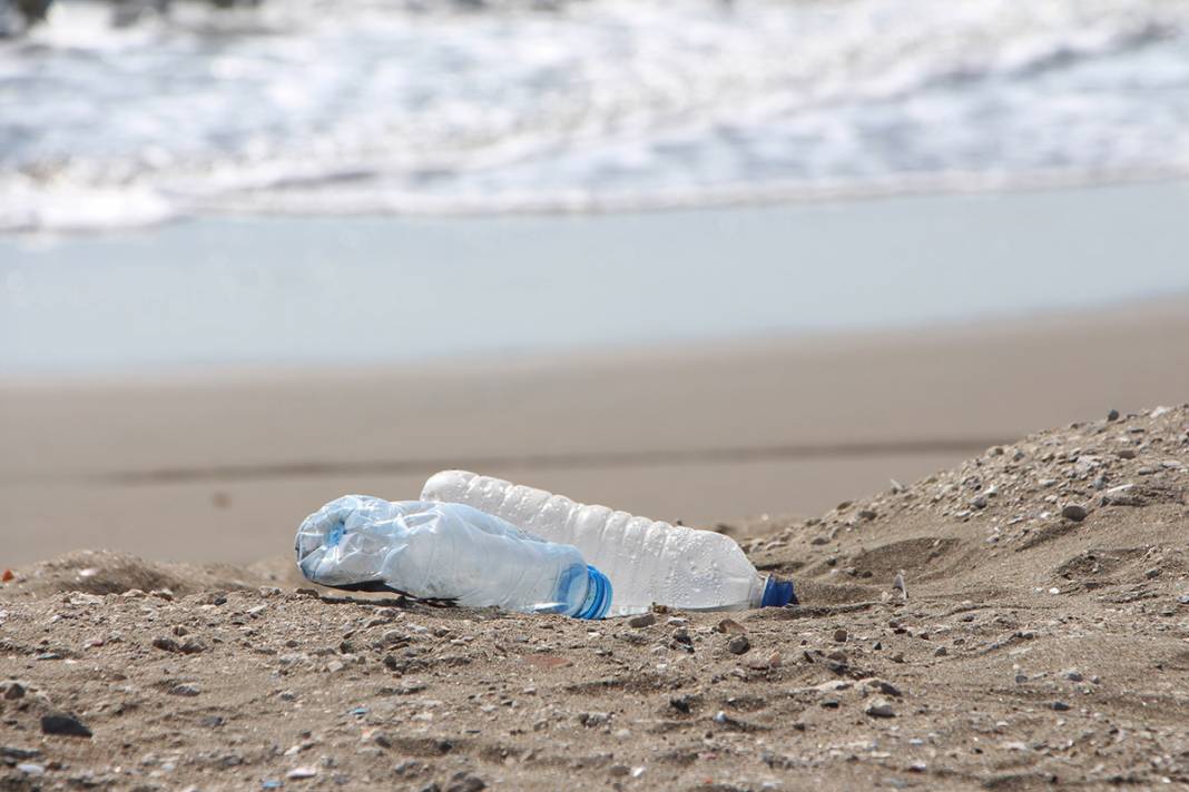 Adeta zehirli bomba! Bir avuç kumda 200 tane var 10