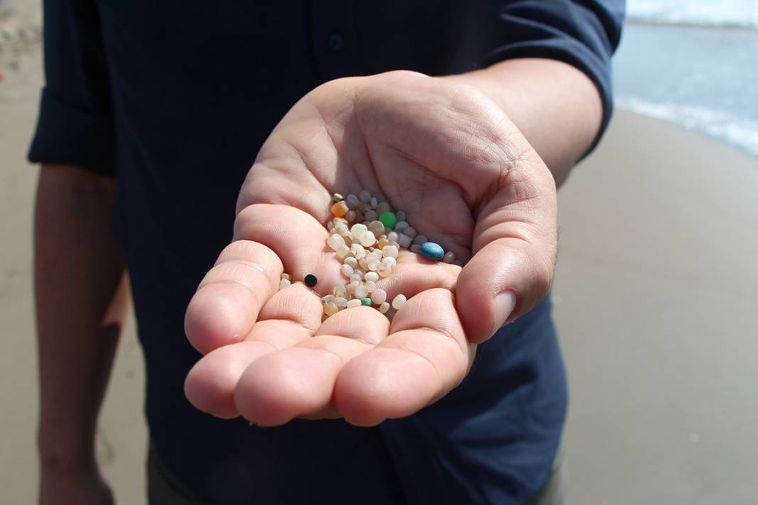 Adeta zehirli bomba! Bir avuç kumda 200 tane var 4