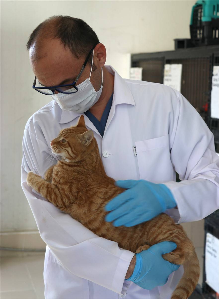 Enkazdan çıkarılan can dostlar dört gözle sahiplerini bekliyor 10