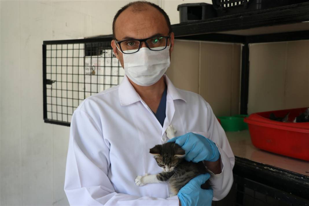 Enkazdan çıkarılan can dostlar dört gözle sahiplerini bekliyor 16