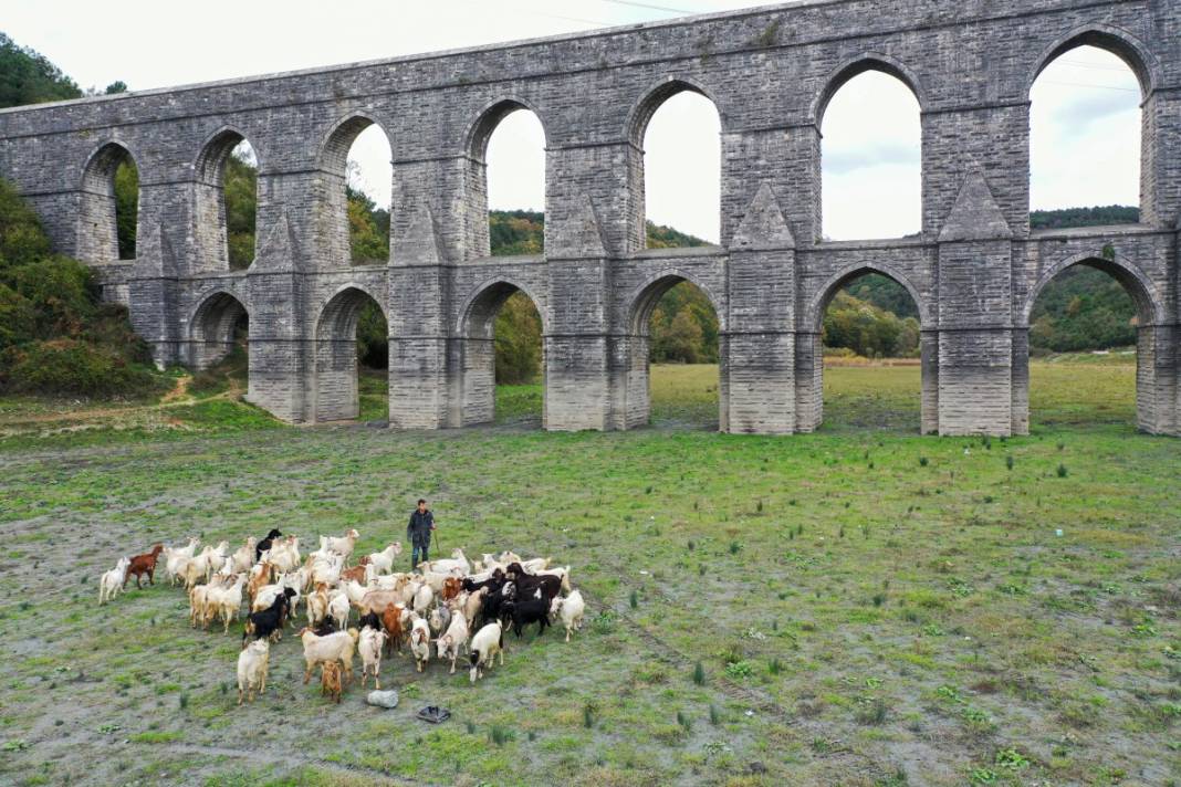 Sular gitti, keçiler geldi... İstanbul barajları son 10 yılın en düşük seviyesinde! 1