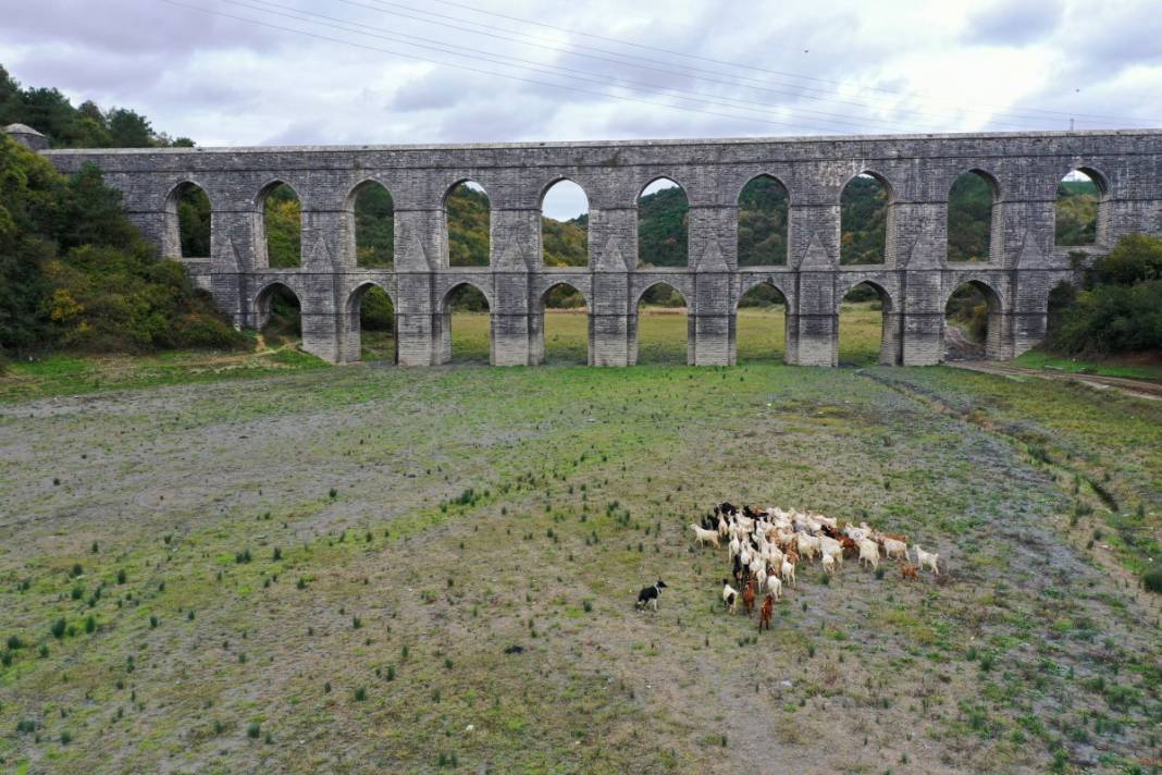 Sular gitti, keçiler geldi... İstanbul barajları son 10 yılın en düşük seviyesinde! 2