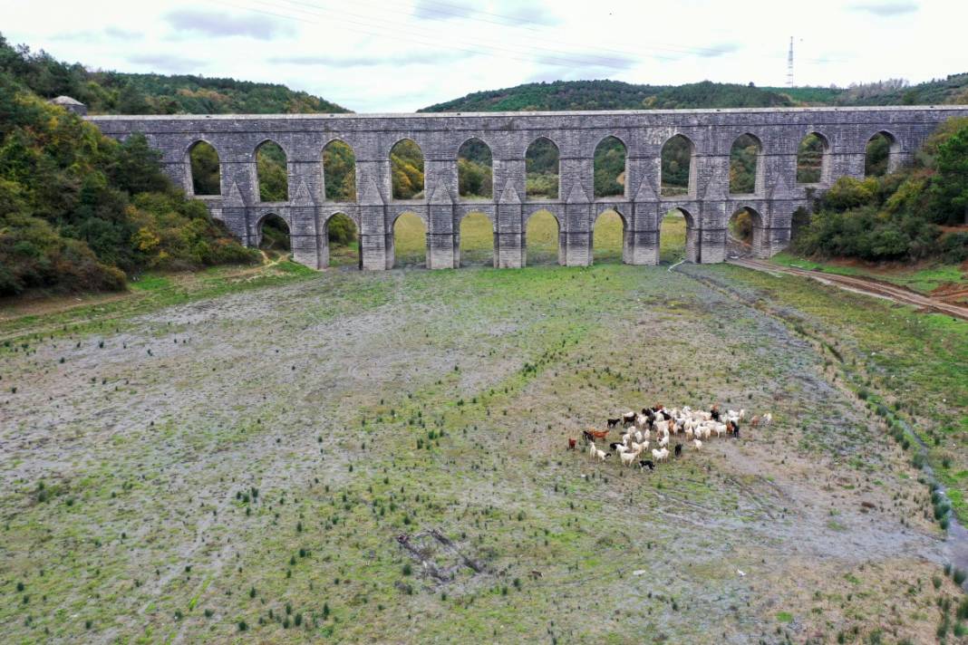 Sular gitti, keçiler geldi... İstanbul barajları son 10 yılın en düşük seviyesinde! 3