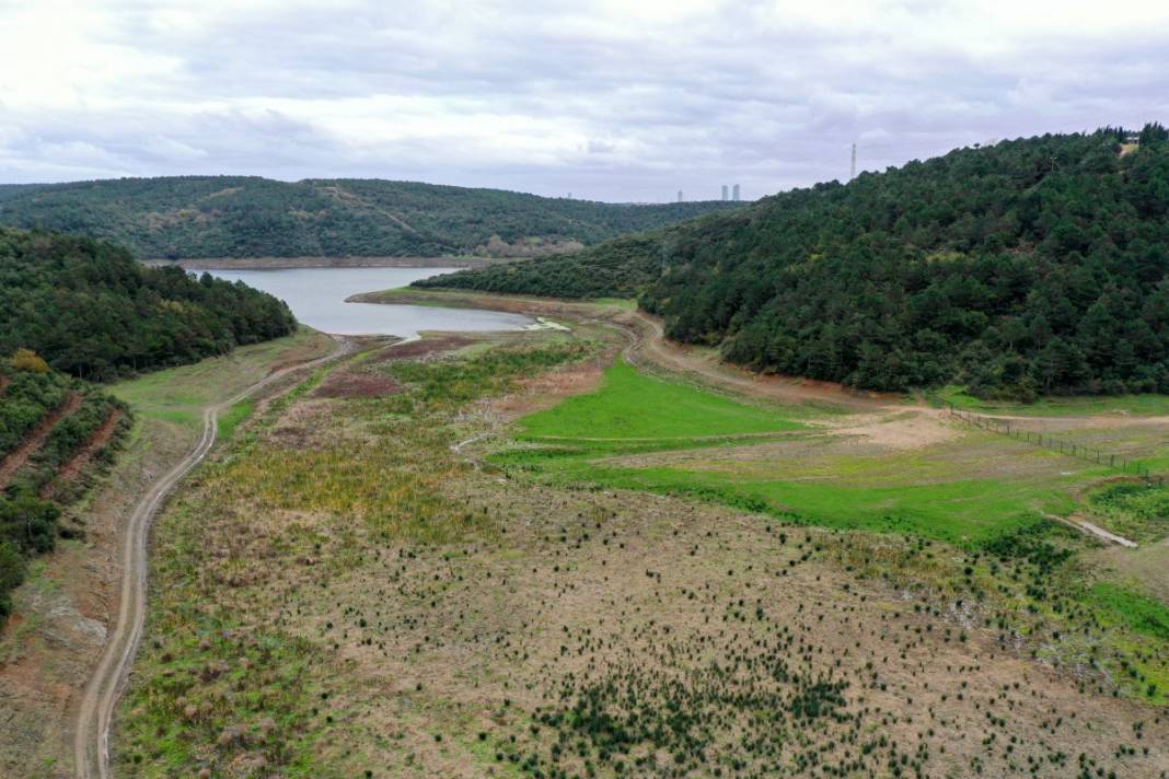 Sular gitti, keçiler geldi... İstanbul barajları son 10 yılın en düşük seviyesinde! 6