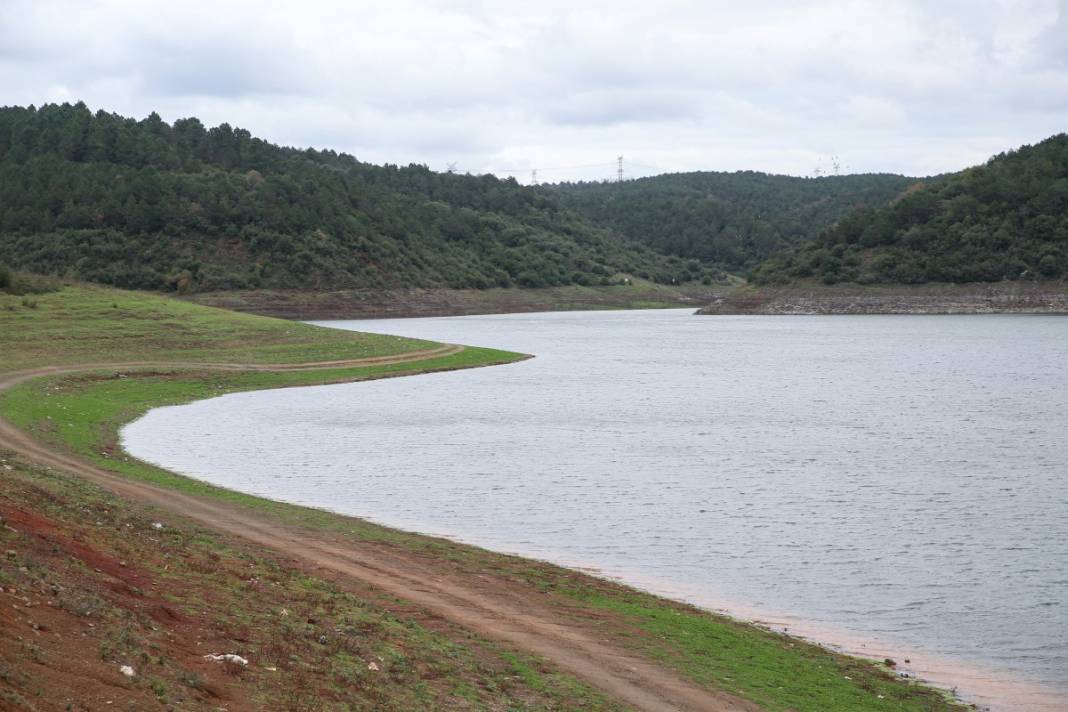 Sular gitti, keçiler geldi... İstanbul barajları son 10 yılın en düşük seviyesinde! 11