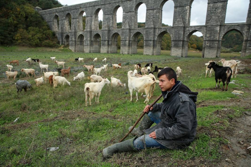 Sular gitti, keçiler geldi... İstanbul barajları son 10 yılın en düşük seviyesinde! 14