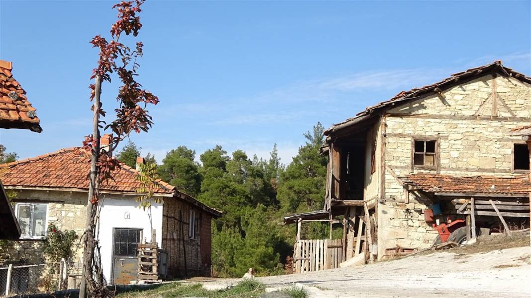 Yarısı koronaya yakalanan köyde kimse ölmedi! İşte sırları 10