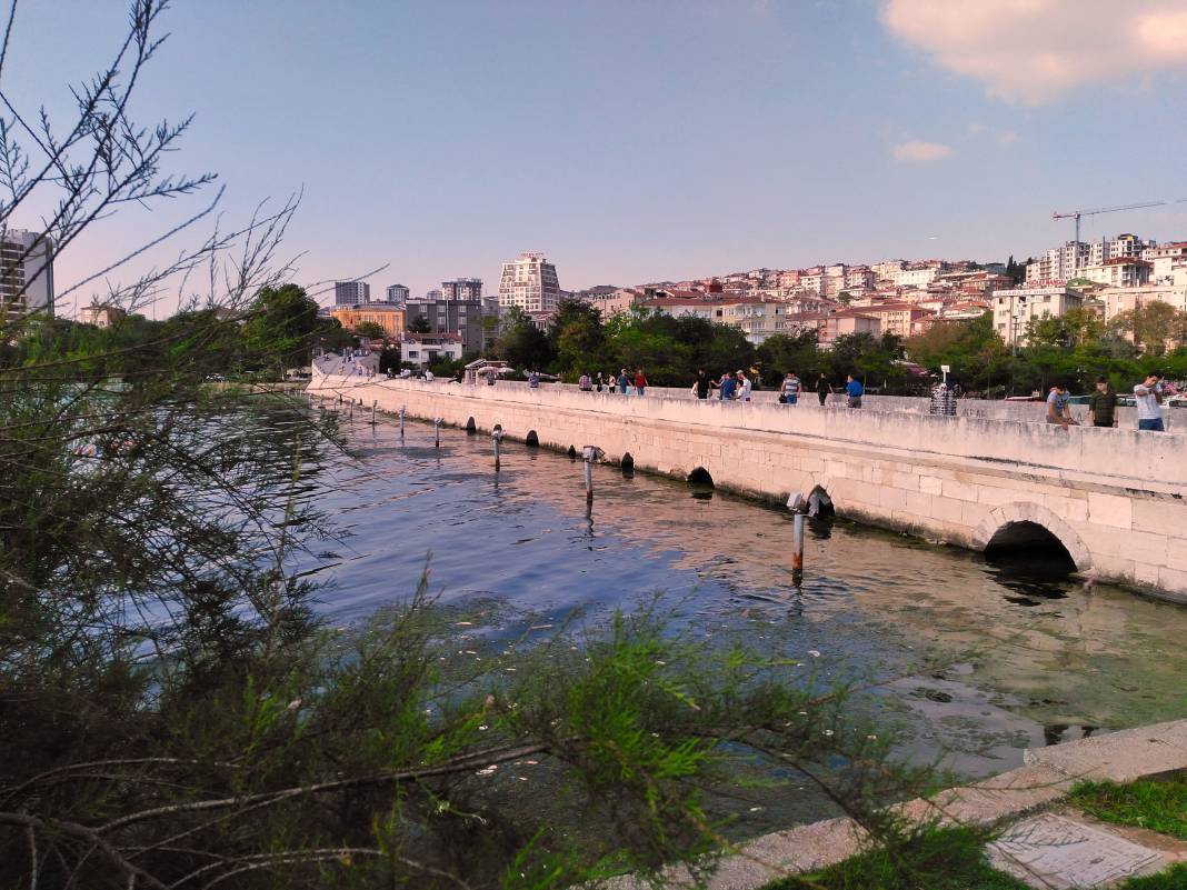 Dünyanın en ilginç köprüleri: Eşsiz mimarileri görenler dönüp bir daha bakıyor 28