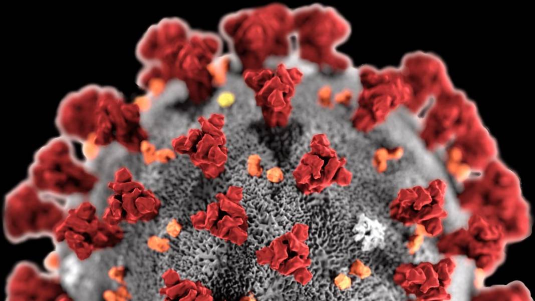 Koronavirüs salgınına ne iyi geliyor? 2