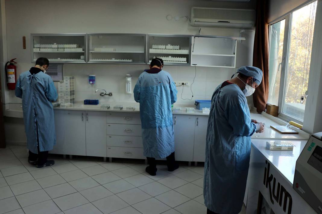 Türkiye'nin beklediği aşı haberi buradan gelecek! İşte çalışmalarının yapıldığı laboratuvar 4