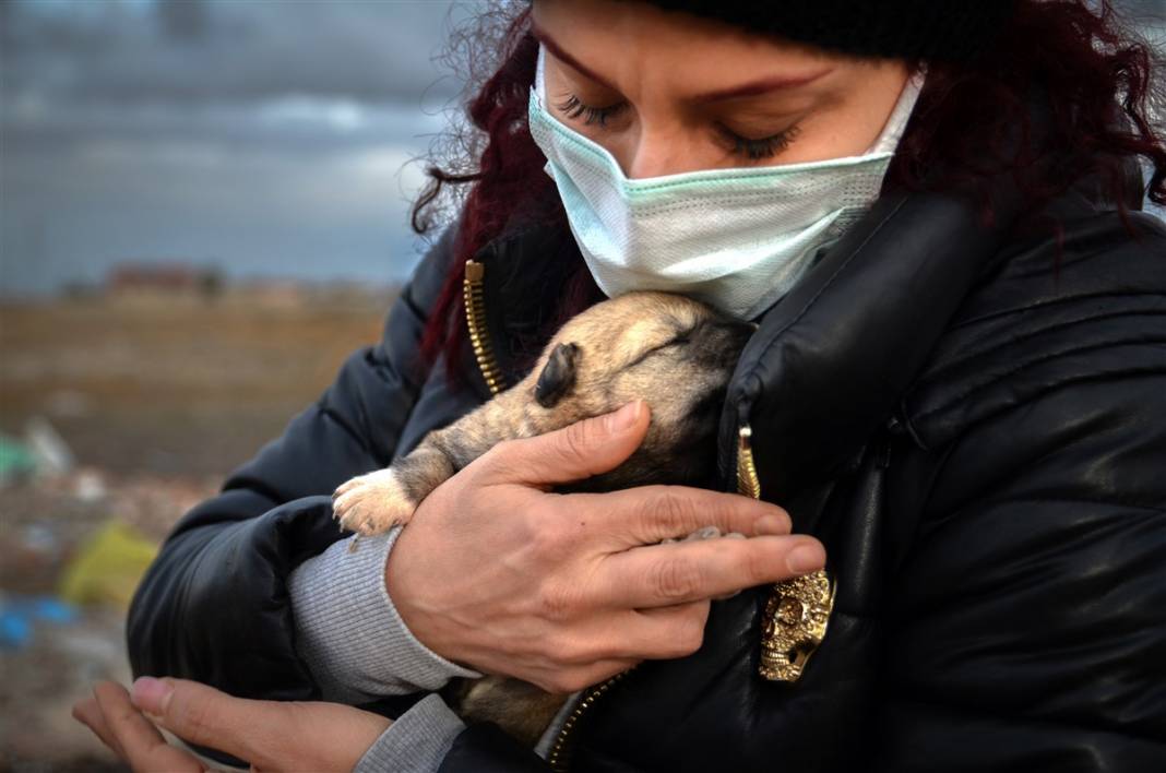 Konya'da vahşet! 9 yavru köpeği yakarak öldürdüler 2