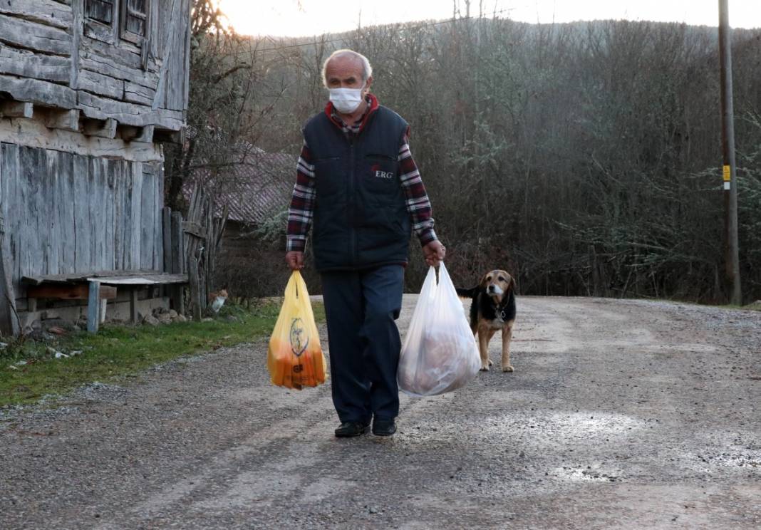 Havyan dostları için her gün 10 kilometre yürüyor 1