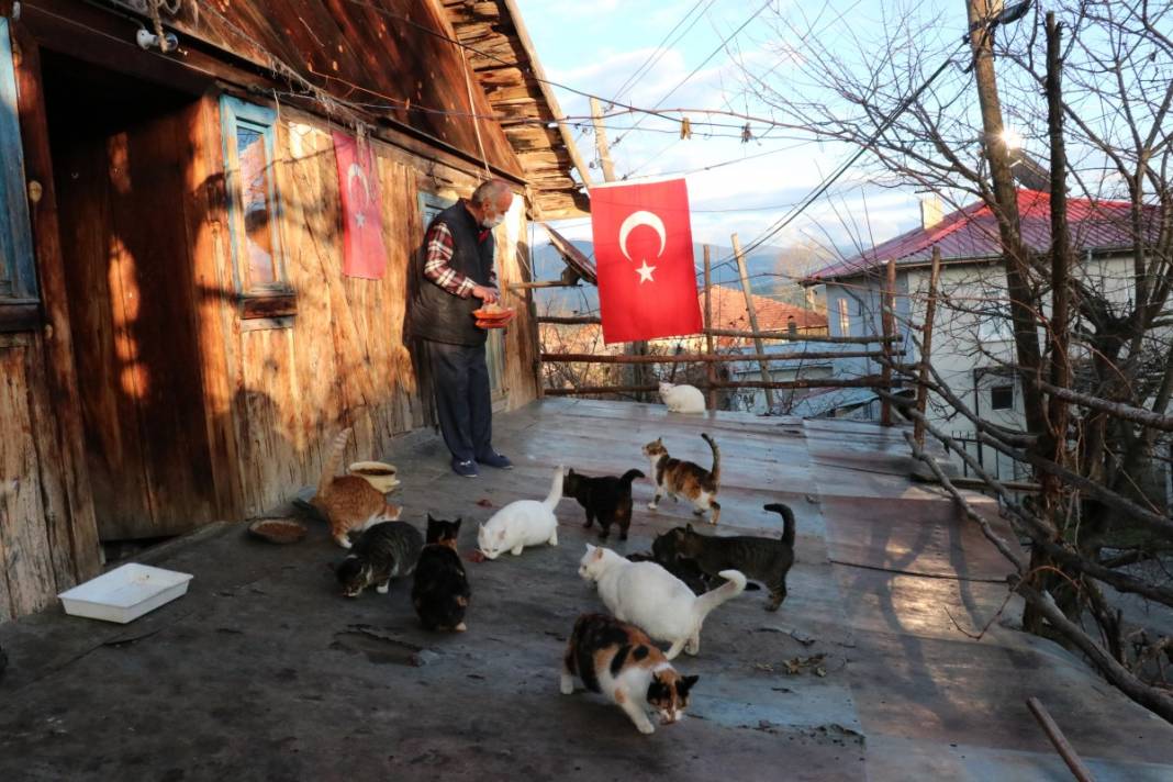 Havyan dostları için her gün 10 kilometre yürüyor 3